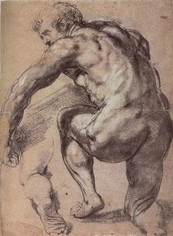 Peter Paul Rubens Portrait of Man France oil painting art